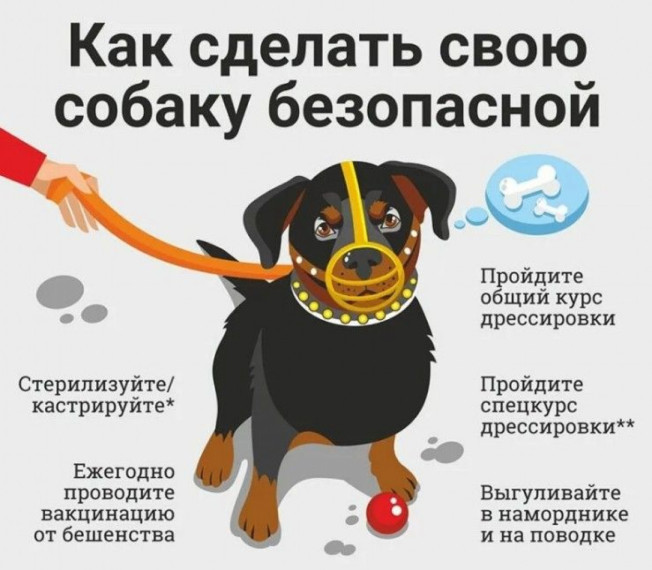 «Безопасность детства».